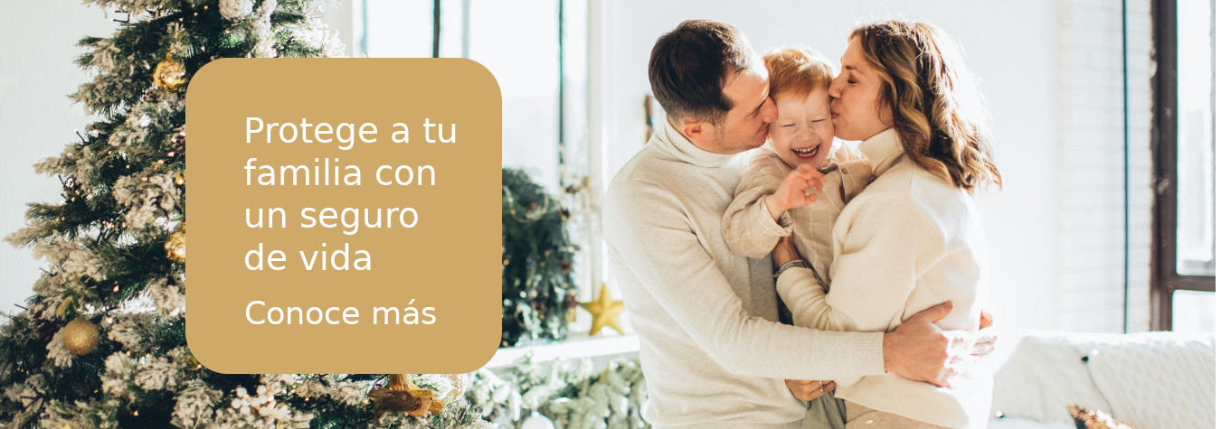 seguro-de-vida-orona-asesores